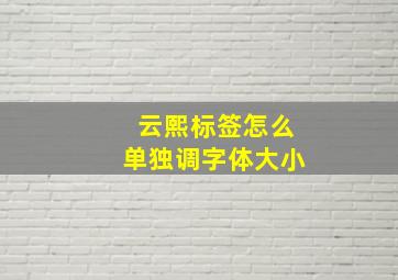 云熙标签怎么单独调字体大小