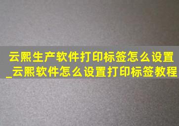 云熙生产软件打印标签怎么设置_云熙软件怎么设置打印标签教程