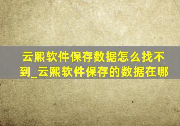 云熙软件保存数据怎么找不到_云熙软件保存的数据在哪