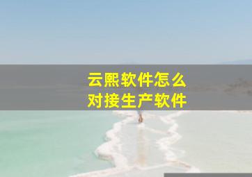 云熙软件怎么对接生产软件