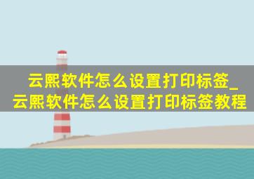 云熙软件怎么设置打印标签_云熙软件怎么设置打印标签教程