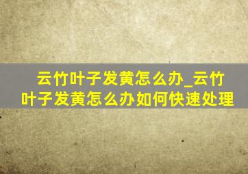 云竹叶子发黄怎么办_云竹叶子发黄怎么办如何快速处理