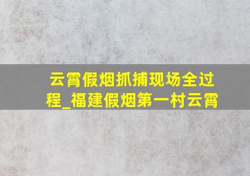 云霄假烟抓捕现场全过程_福建假烟第一村云霄