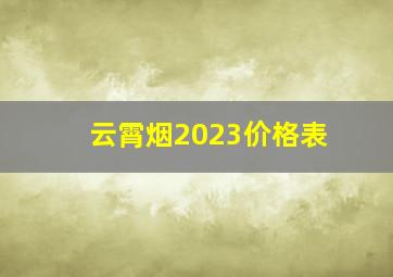 云霄烟2023价格表