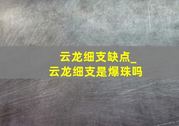 云龙细支缺点_云龙细支是爆珠吗