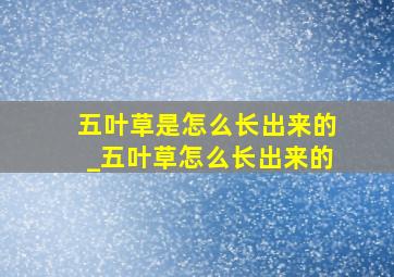 五叶草是怎么长出来的_五叶草怎么长出来的