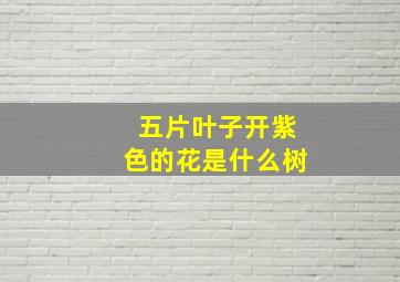 五片叶子开紫色的花是什么树