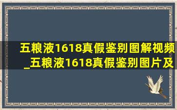 五粮液1618真假鉴别图解视频_五粮液1618真假鉴别图片及说明