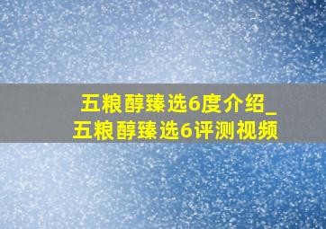 五粮醇臻选6度介绍_五粮醇臻选6评测视频