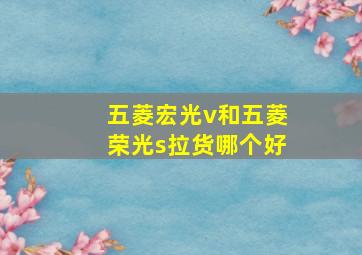 五菱宏光v和五菱荣光s拉货哪个好