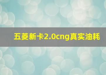 五菱新卡2.0cng真实油耗