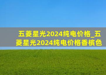 五菱星光2024纯电价格_五菱星光2024纯电价格香槟色