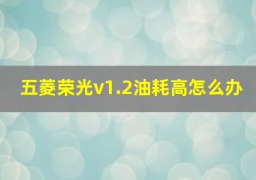 五菱荣光v1.2油耗高怎么办