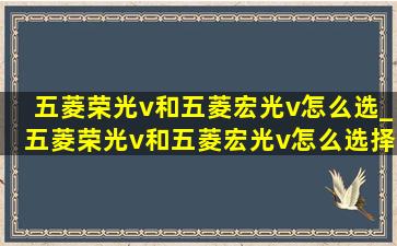 五菱荣光v和五菱宏光v怎么选_五菱荣光v和五菱宏光v怎么选择