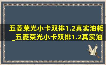 五菱荣光小卡双排1.2真实油耗_五菱荣光小卡双排1.2真实油耗多少