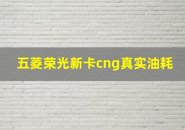 五菱荣光新卡cng真实油耗