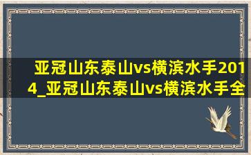 亚冠山东泰山vs横滨水手2014_亚冠山东泰山vs横滨水手全场