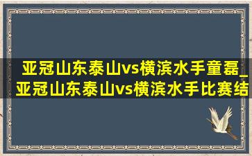 亚冠山东泰山vs横滨水手童磊_亚冠山东泰山vs横滨水手比赛结果