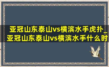 亚冠山东泰山vs横滨水手虎扑_亚冠山东泰山vs横滨水手什么时候