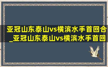 亚冠山东泰山vs横滨水手首回合_亚冠山东泰山vs横滨水手首回合比分