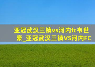 亚冠武汉三镇vs河内fc韦世豪_亚冠武汉三镇VS河内FC