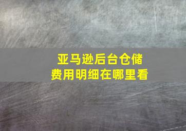 亚马逊后台仓储费用明细在哪里看