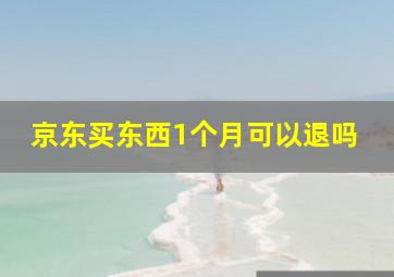 京东买东西1个月可以退吗