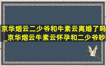 京华烟云二少爷和牛素云离婚了吗_京华烟云牛素云怀孕和二少爷吵架