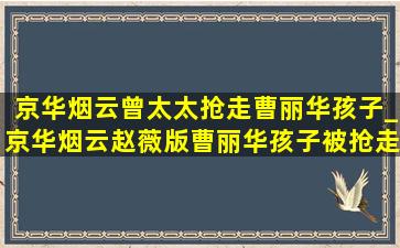 京华烟云曾太太抢走曹丽华孩子_京华烟云赵薇版曹丽华孩子被抢走