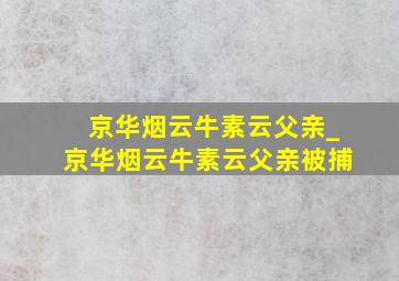 京华烟云牛素云父亲_京华烟云牛素云父亲被捕