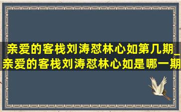 亲爱的客栈刘涛怼林心如第几期_亲爱的客栈刘涛怼林心如是哪一期