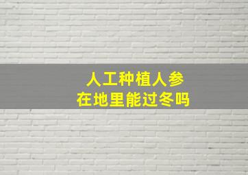 人工种植人参在地里能过冬吗