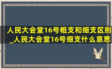 人民大会堂16号粗支和细支区别_人民大会堂16号细支什么意思