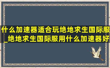 什么加速器适合玩绝地求生国际服_绝地求生国际服用什么加速器好