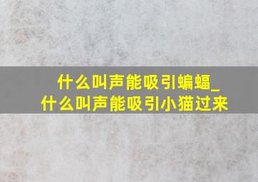 什么叫声能吸引蝙蝠_什么叫声能吸引小猫过来