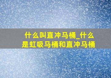 什么叫直冲马桶_什么是虹吸马桶和直冲马桶