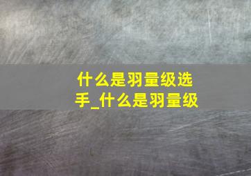 什么是羽量级选手_什么是羽量级