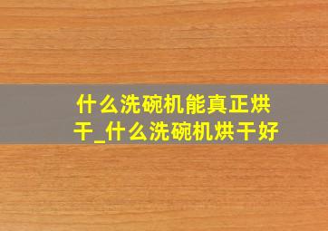 什么洗碗机能真正烘干_什么洗碗机烘干好