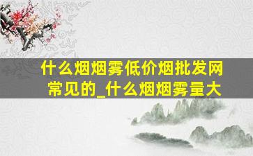 什么烟烟雾(低价烟批发网)常见的_什么烟烟雾量大