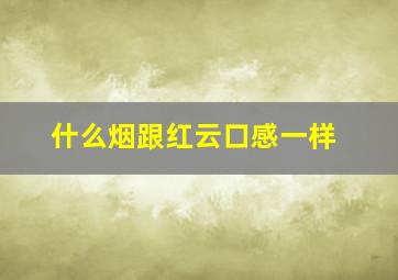 什么烟跟红云口感一样