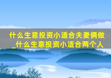 什么生意投资小适合夫妻俩做_什么生意投资小适合两个人