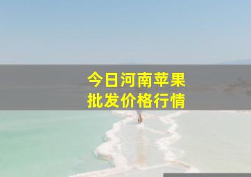 今日河南苹果批发价格行情