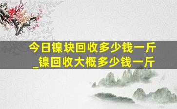 今日镍块回收多少钱一斤_镍回收大概多少钱一斤