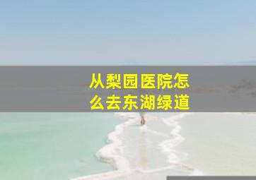 从梨园医院怎么去东湖绿道