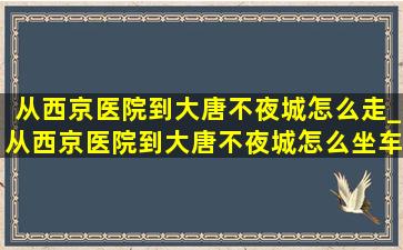 从西京医院到大唐不夜城怎么走_从西京医院到大唐不夜城怎么坐车