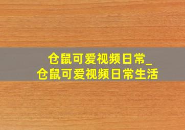 仓鼠可爱视频日常_仓鼠可爱视频日常生活