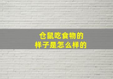 仓鼠吃食物的样子是怎么样的