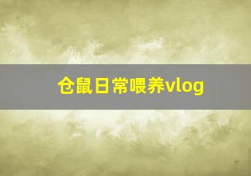 仓鼠日常喂养vlog