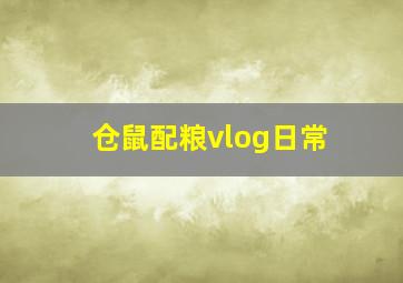 仓鼠配粮vlog日常