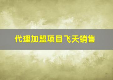 代理加盟项目飞天销售